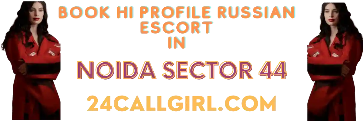 Sector 44 Escort Banner